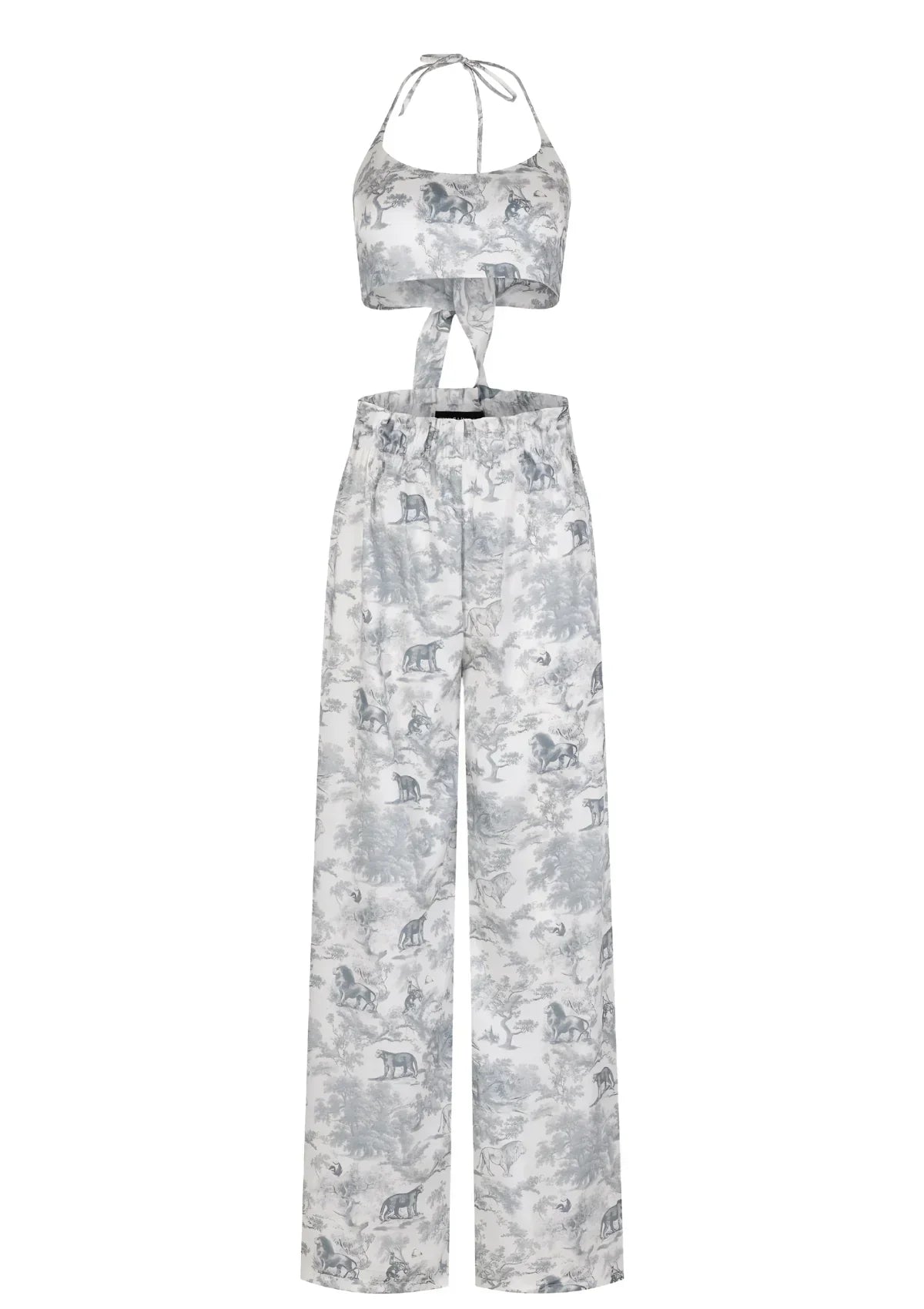 Puff-Sleeve Tie Front Top and Shorts Set | TheSaint54