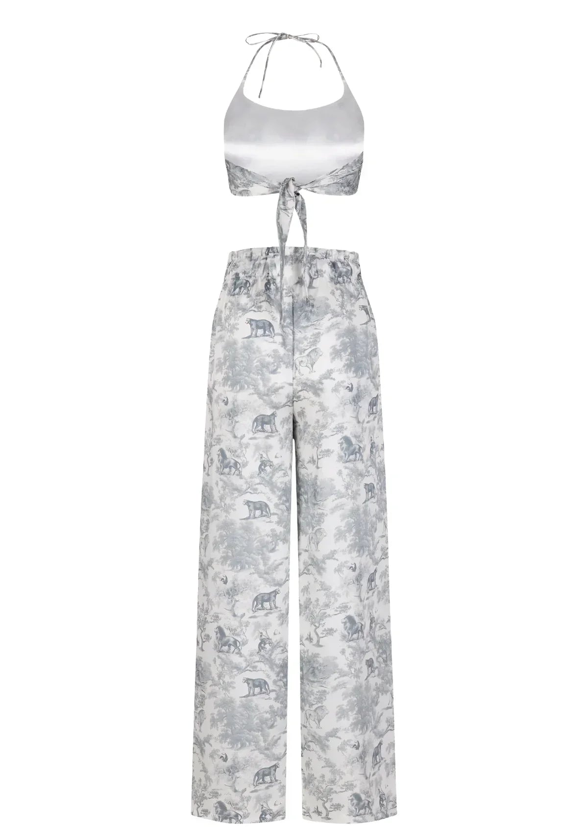 Puff-Sleeve Tie Front Top and Shorts Set | TheSaint54