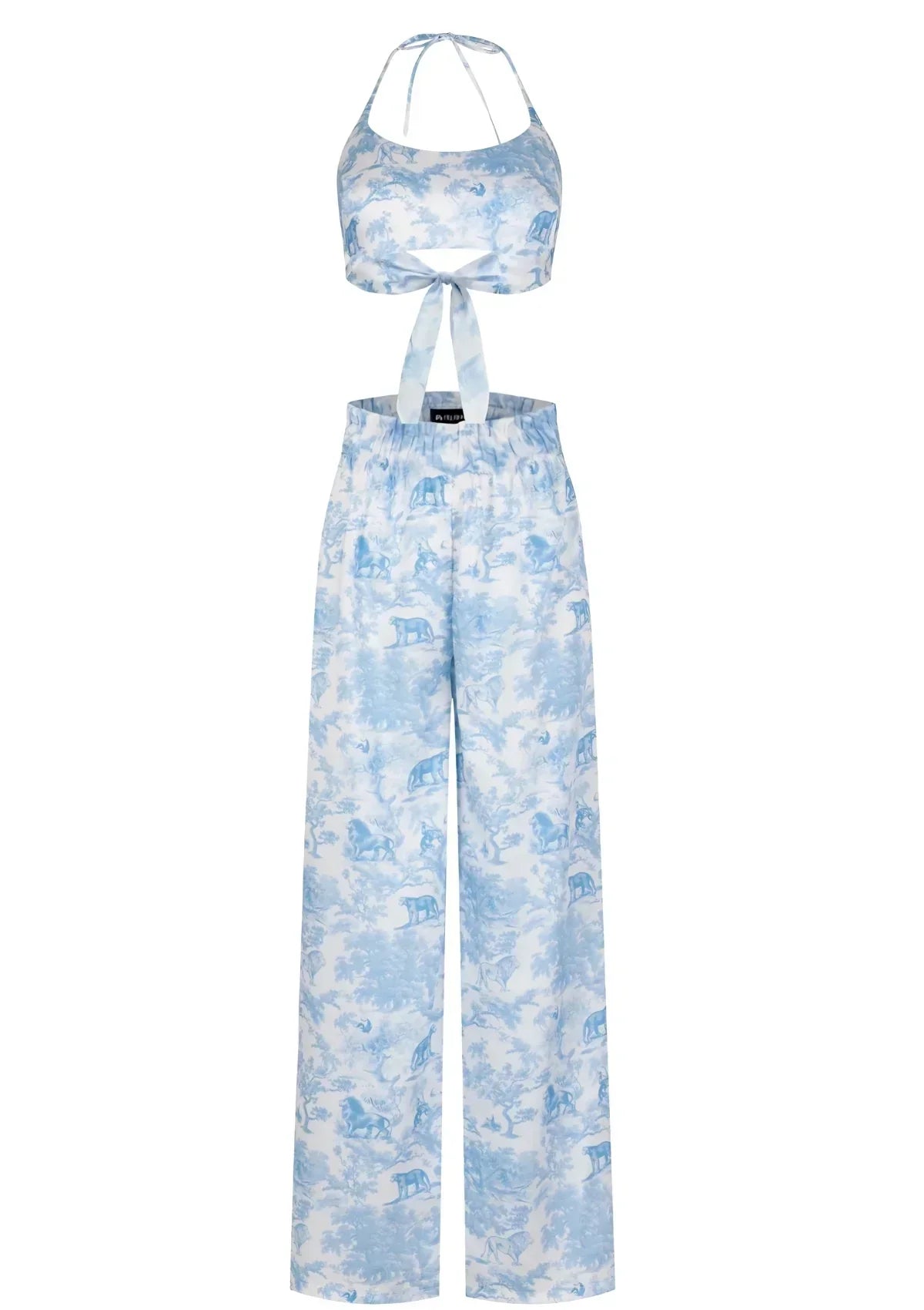 Puff-Sleeve Tie Front Top and Shorts Set | TheSaint54