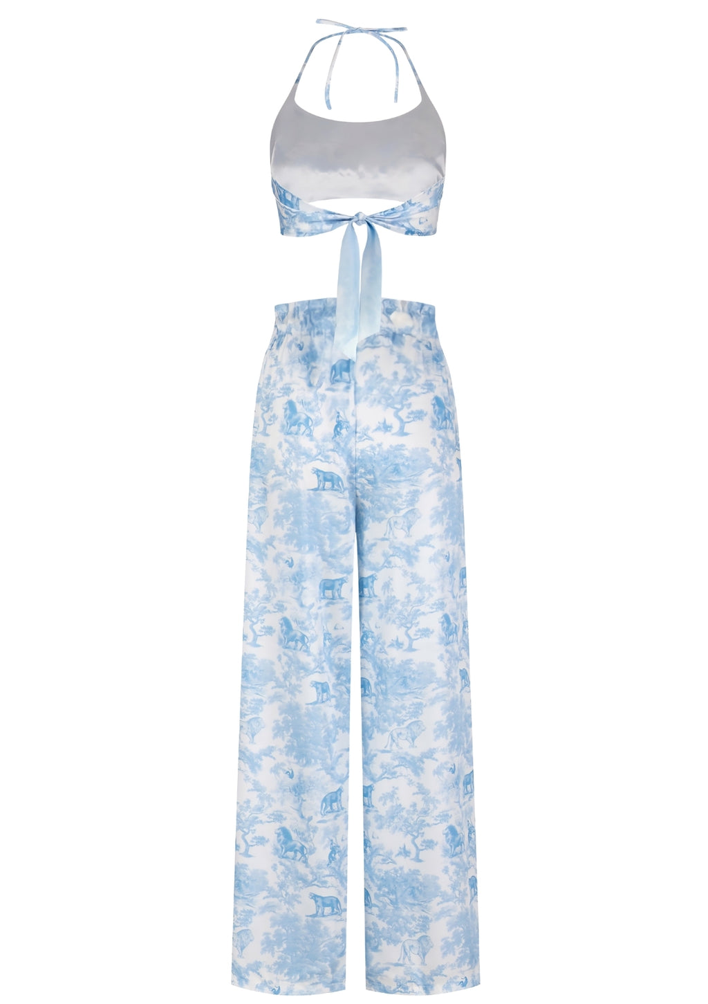 Puff-Sleeve Tie Front Top and Shorts Set | TheSaint54
