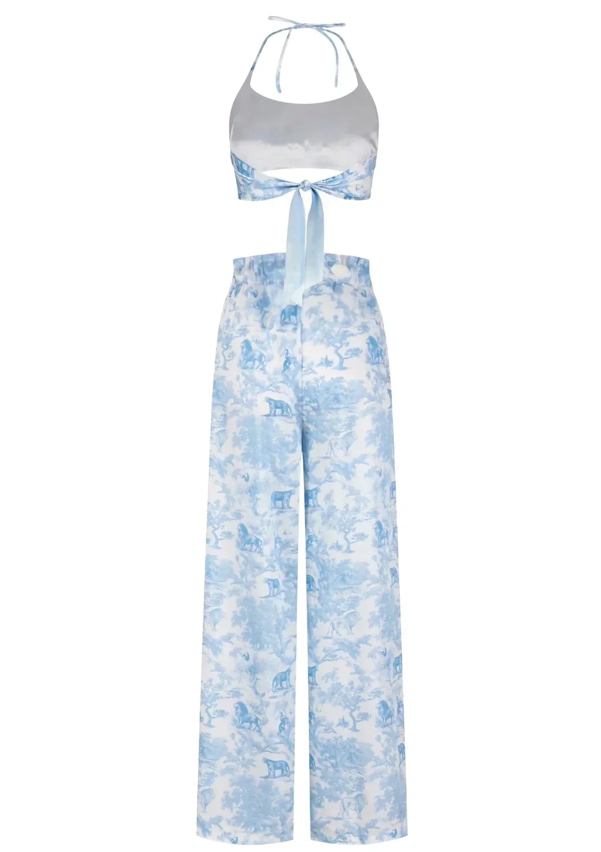 Puff-Sleeve Tie Front Top and Shorts Set | TheSaint54